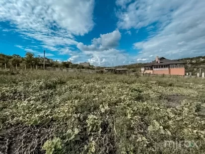 с. Избешть, Криулень, мун. Кишинёв изображение 43947