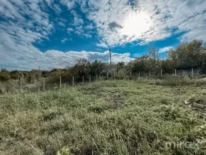 с. Избешть, Криулень, мун. Кишинёв изображение 43946