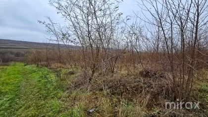 мун. Гидигич, Кишинев, Молдова изображение 205402