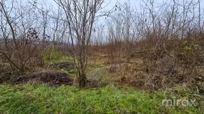 мун. Гидигич, Кишинев, Молдова изображение 205409
