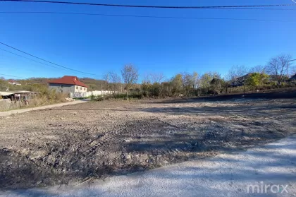 с. Дрэсличень, Криулень, Молдова изображение 201566