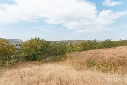 s. Boșcana, Criuleni, Chișinău imaginea 179850