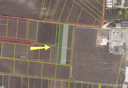 bd. Dacia, Botanica, Chișinău imaginea 240107