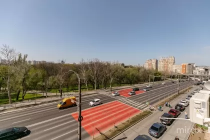 бул. Дечебал, Ботаника, мун. Кишинев изображение 217986