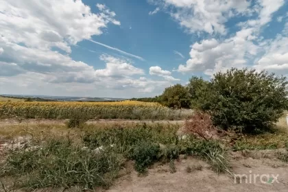 Санжера, Кишинев изображение 35582