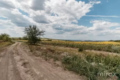 Санжера, Кишинев изображение 35583
