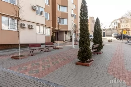 ул. Диминеций, Ботаника изображение 235225