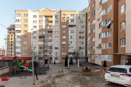 ул. Диминеций, Ботаника изображение 235227