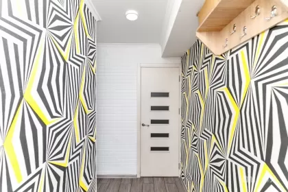 str. Gribov, Durlești imaginea 240151