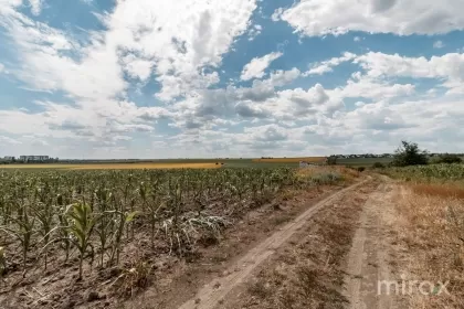Санжера, Кишинев изображение 35609