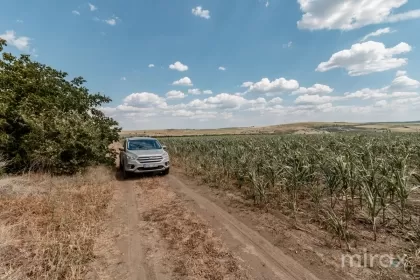 Санжера, Кишинев изображение 35608