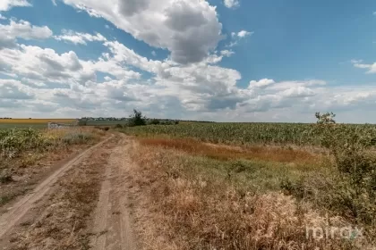 Санжера, Кишинев изображение 35611