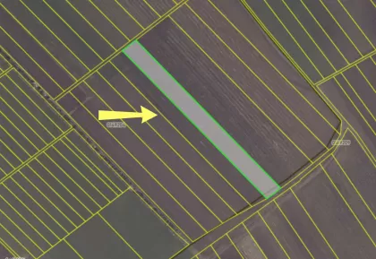 com. Colonița, mun. Chișinău imaginea 238934