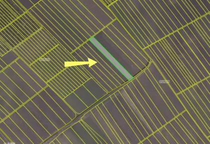 com. Colonița, mun. Chișinău imaginea 238935