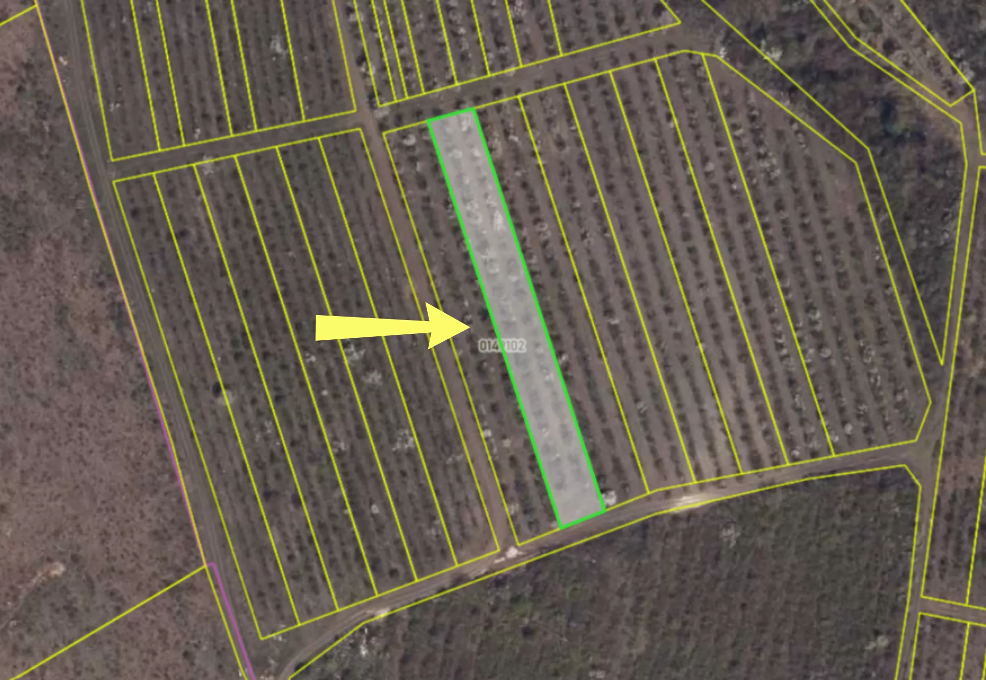 com. Colonița, mun. Chișinău