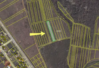 com. Colonița, mun. Chișinău image 238937