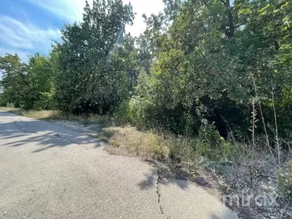 s. Ruseștii Noi, Ialoveni, Chișinău imaginea 105779