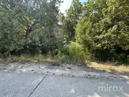 s. Ruseștii Noi, Ialoveni, Chișinău imaginea 105780