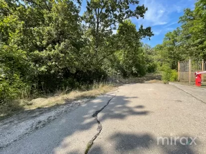 s. Ruseștii Noi, Ialoveni, Chișinău imaginea 105781