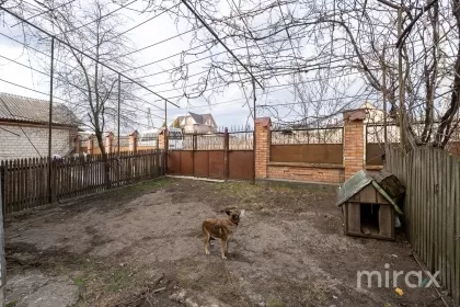 ул. Алексей Матеевич, Балцата, Криулень изображение 212718