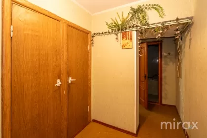ул. Флорилор, Рышкань, Кишинев изображение 229599