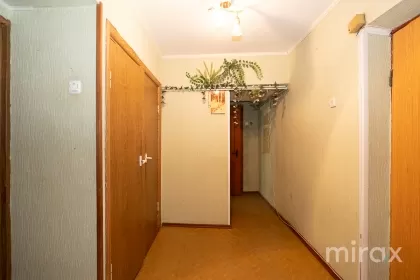 ул. Флорилор, Рышкань, Кишинев изображение 229605