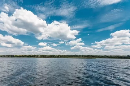 Рыбница изображение 26241