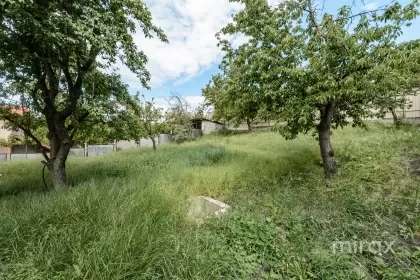 ИП 