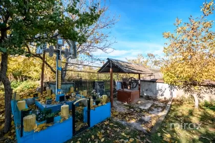 с. Чоплени, Криуляны, Кишинев изображение 193083
