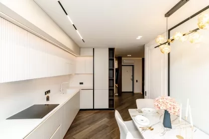 ул. Онисифор Гибу, Буюканы изображение 240355