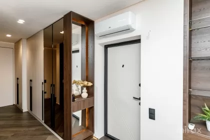 ул. Онисифор Гибу, Буюканы изображение 240362