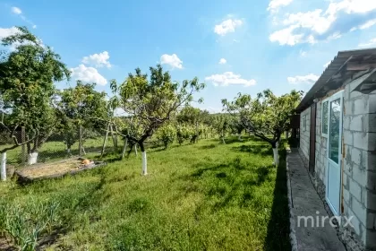 ул. Морилор, с. Сиреть, Стрэшень изображение 223577