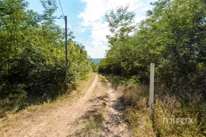s. Malcoci, Ialoveni, mun. Chișinău image 229761