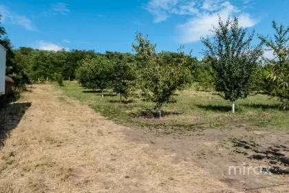 s. Malcoci, Ialoveni, mun. Chișinău image 229755