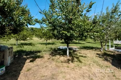 s. Malcoci, Ialoveni, mun. Chișinău image 229756