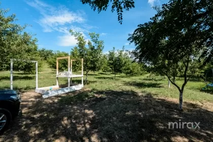 s. Malcoci, Ialoveni, mun. Chișinău image 229757