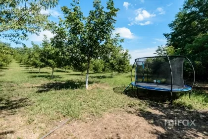 s. Malcoci, Ialoveni, mun. Chișinău image 229758