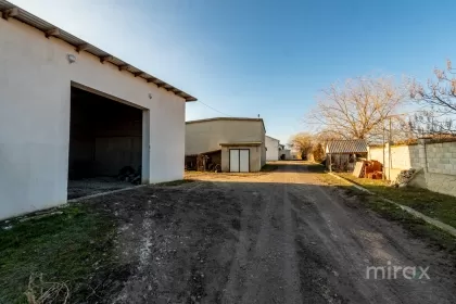 s. Cobușca Veche, Anenii Noi, Moldova imaginea 138456