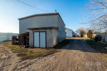 s. Cobușca Veche, Anenii Noi, Moldova imaginea 138458