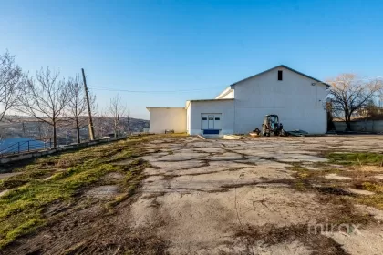 s. Cobușca Veche, Anenii Noi, Moldova imaginea 138461