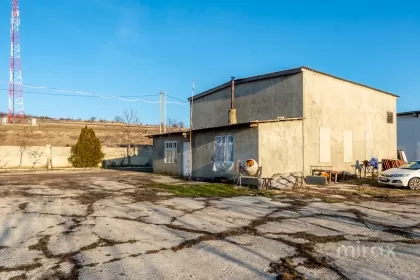 s. Cobușca Veche, Anenii Noi, Moldova imaginea 138462
