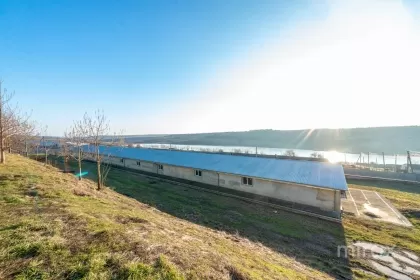s. Cobușca Veche, Anenii Noi, Moldova imaginea 138470