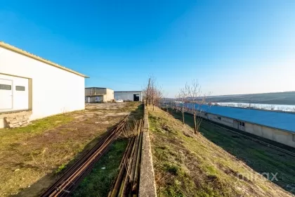 s. Cobușca Veche, Anenii Noi, Moldova imaginea 138472