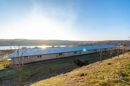 s. Cobușca Veche, Anenii Noi, Moldova imaginea 138491