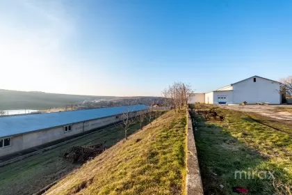 s. Cobușca Veche, Anenii Noi, Moldova imaginea 138492