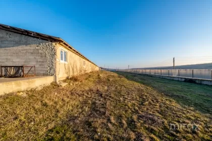 s. Cobușca Veche, Anenii Noi, Moldova imaginea 138494