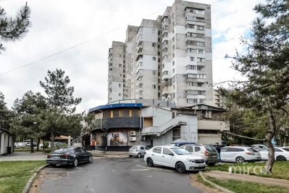 ул. Независимости, Ботаника изображение 235472