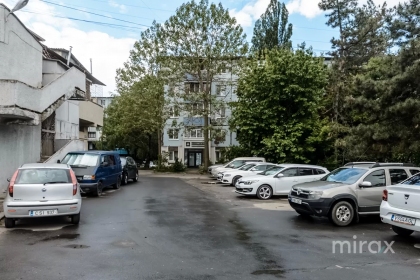 ул. Независимости, Ботаника изображение 235473