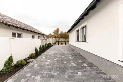 Poiana Silvică, Dumbrava, Chișinău imaginea 237862