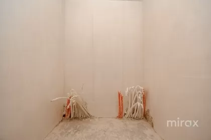 str. Schinoasa Vale, Codru, Chișinău imaginea 236579